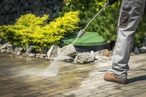 Best Driveway Pressure Washing  in Eldorado, TX