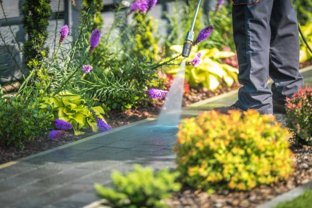 Best Sidewalk and Walkway Cleaning  in Eldorado, TX