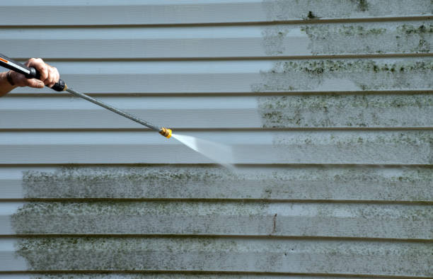 Best Patio and Deck Pressure Washing  in Eldorado, TX