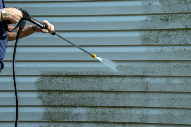 Best House Exterior Washing  in Eldorado, TX